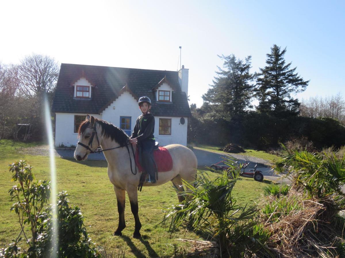 Letterfrack Farmhouse On Equestrian Farm In Letterfrack Beside Connemara National Park Tullywee Bridge Zewnętrze zdjęcie