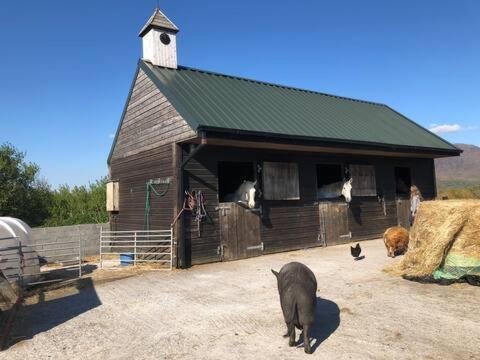 Letterfrack Farmhouse On Equestrian Farm In Letterfrack Beside Connemara National Park Tullywee Bridge Zewnętrze zdjęcie