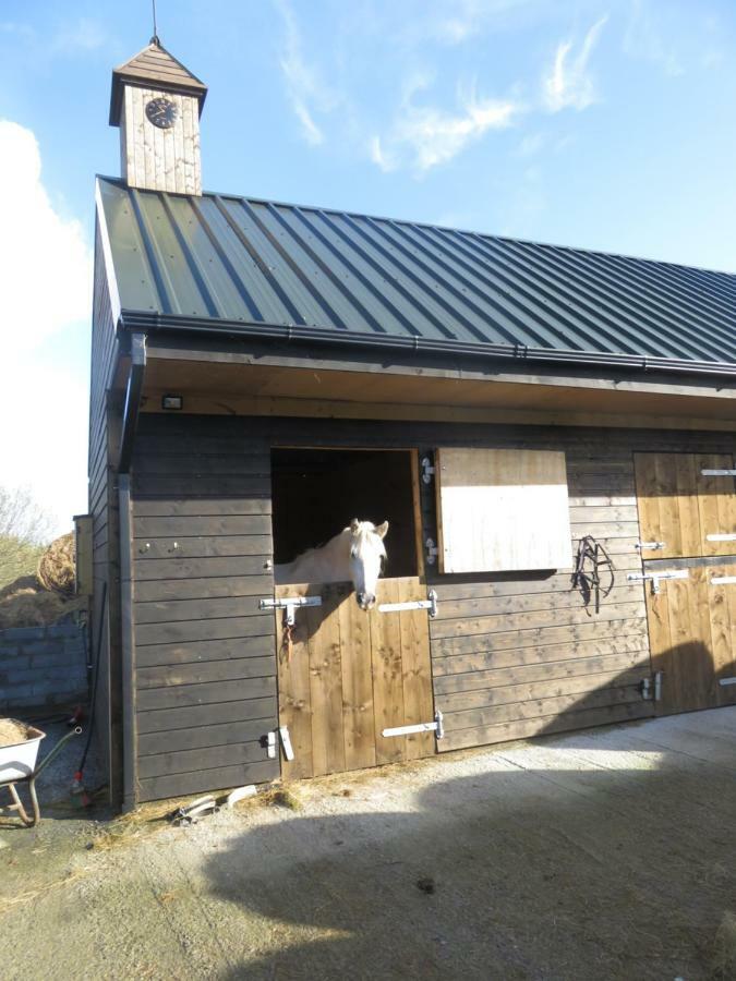 Letterfrack Farmhouse On Equestrian Farm In Letterfrack Beside Connemara National Park Tullywee Bridge Zewnętrze zdjęcie